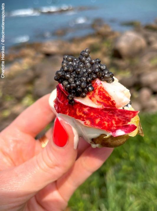 L'aventure de Charlotte Henkès